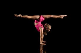 Image result for Elements Acro