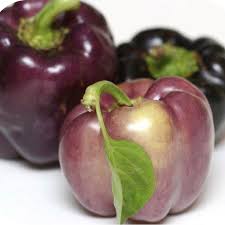 Afbeeldingsresultaat voor purple beauty sweet pepper