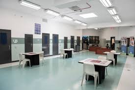 Attēlu rezultāti vaicājumam “juvenile”