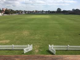 Image result for Bere Regis Cricket Club