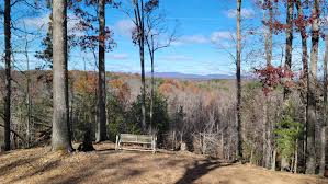 Image result for Forest (Sale) Badminton Club