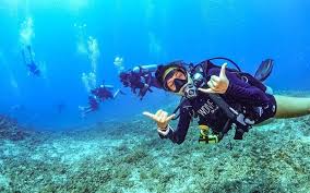 Image result for Scuba Fun