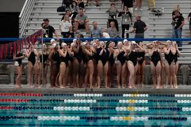Image result for Lutterworth Swimming Club