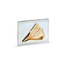 Resultado de imagen para sliced horse