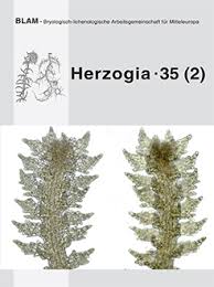 Attēlu rezultāti vaicājumam “Rhytidiadelphus subpinnatus”