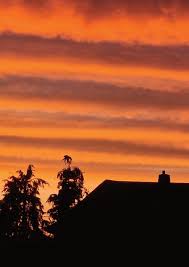 Image result for Epping Horizons Petanque Club, Essex