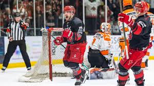 Image result for Sheffield Steelers