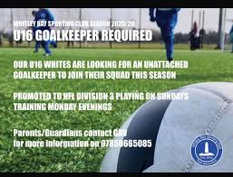 Image result for Whitley Badminton Club