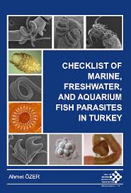 Image result for Squalius cephalus cavedanus