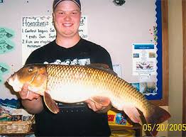 Image result for Moxostoma macrolepidotum