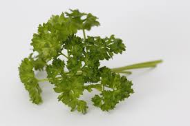 Image result for Petersilie