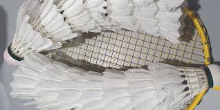 Image result for Northallerton Badminton Club