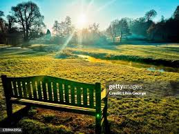 Image result for Abinger Sports Club