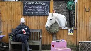 Image result for Old Park Riding Stables