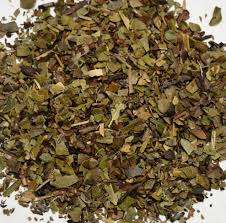 Attēlu rezultāti vaicājumam “Arctostaphylos uva-ursi leaf”