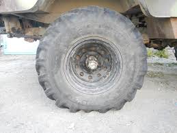 Картинки по запросу белку зажевало в диск