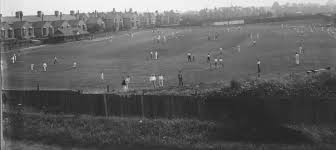 Image result for Cardiff Harlequins