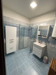 Image result for WC rekonstrukce foto