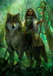 Image result for druid