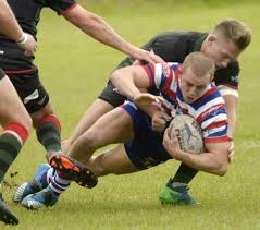 Image result for Halton Farnworth Hornets A R L F C