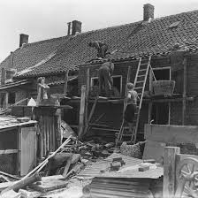 Image result for zeeland 1953