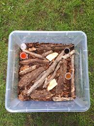 Attēlu rezultāti vaicājumam “Potosia cuprea imago”