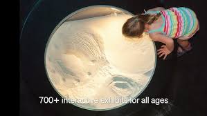 Image result for Exploratorium%20bubble