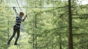 Image result for The Go Ape Experience (Swinley Forest)