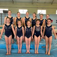 Image result for Uckfield Gymnastics Club