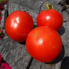 Afbeeldingsresultaat voor black elephant tomato