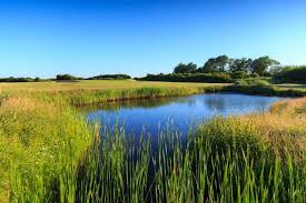 Image result for Cooden Beach Sports and Social