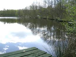 Image result for Bay Malton Angling Club