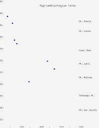Attēlu rezultāti vaicājumam “Hygroamblystegium tenax”