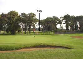 Image result for Sleaford Gc