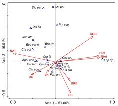 Attēlu rezultāti vaicājumam “Philonotis marchica macro”