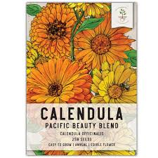 Attēlu rezultāti vaicājumam “Calendula officinalis”