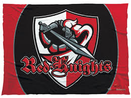 Image result for Reading Knights