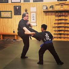 Image result for Bujinkan Crawley Dojo