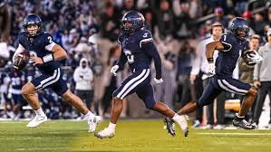 Attēlu rezultāti vaicājumam “Bryum pallens”