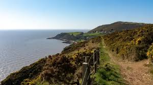 Image result for Solway