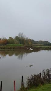 Image result for South Kyme Golf Club
