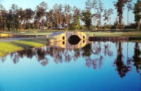 Image result for Romanby Golf Course