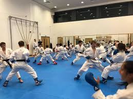 Image result for York University Karate Club