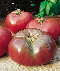 Afbeeldingsresultaat voor dark purple beefsteak tomato
