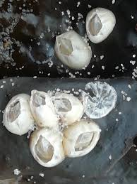 Attēlu rezultāti vaicājumam “Balanus improvisus”