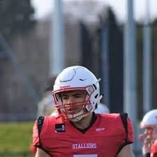 Image result for Staffordshire Stallions