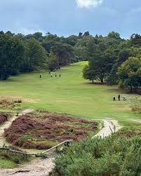 Image result for Reigate Heath Golf Club