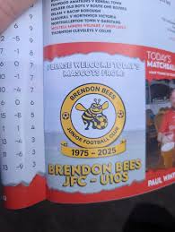 Image result for Brendon Bees Junior Football Club