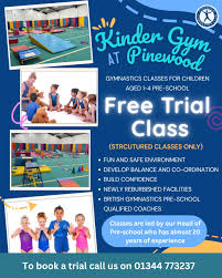 Image result for Pinewood Gymnastics Club