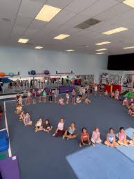 Image result for Aerodyne Gymnastics Club